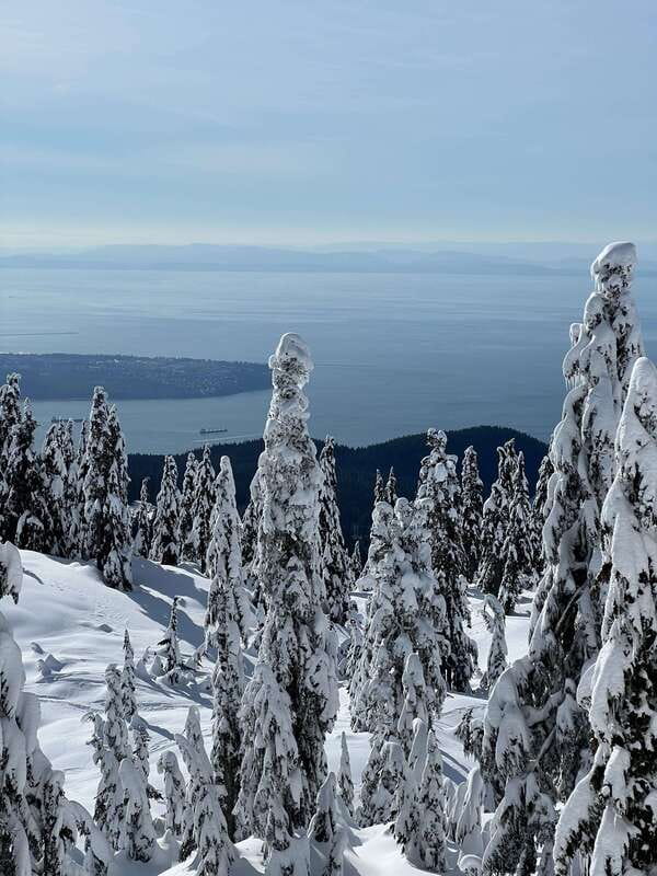 Vancouver: North Shore Mountains Snowshoeing with Transfer - From Vancouver streets to a winter trail