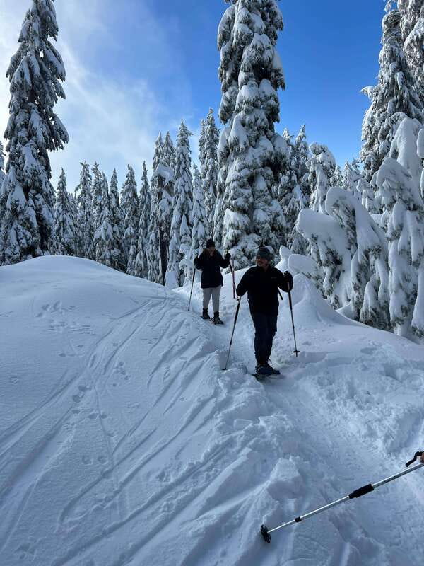 Vancouver: North Shore Mountains Snowshoeing with Transfer - Snowy forests and subalpine meadows