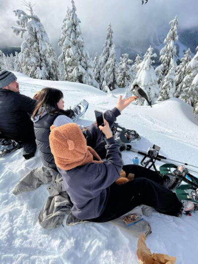 North Shore Mountains Snowshoeing with Transfer