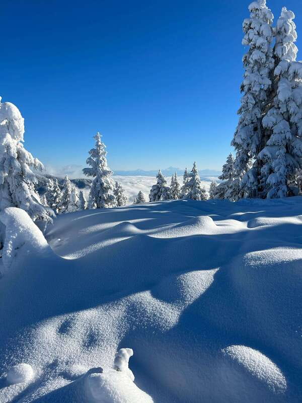 Vancouver: North Shore Mountains Snowshoeing with Transfer - Choosing between a gentle outing and a harder push