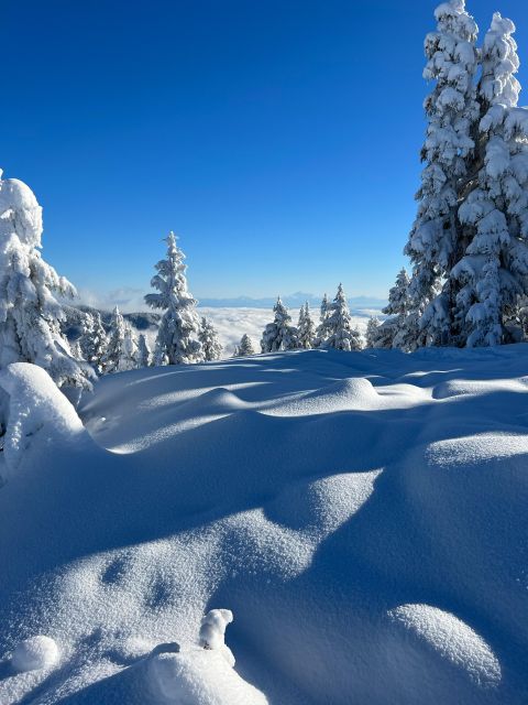 Vancouver: North Shore Mountains Snowshoeing with Transfer - A guide can shape the whole experience