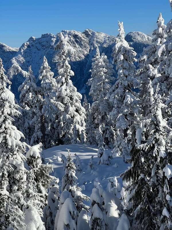 Vancouver: North Shore Mountains Snowshoeing with Transfer - What the $109 price really covers