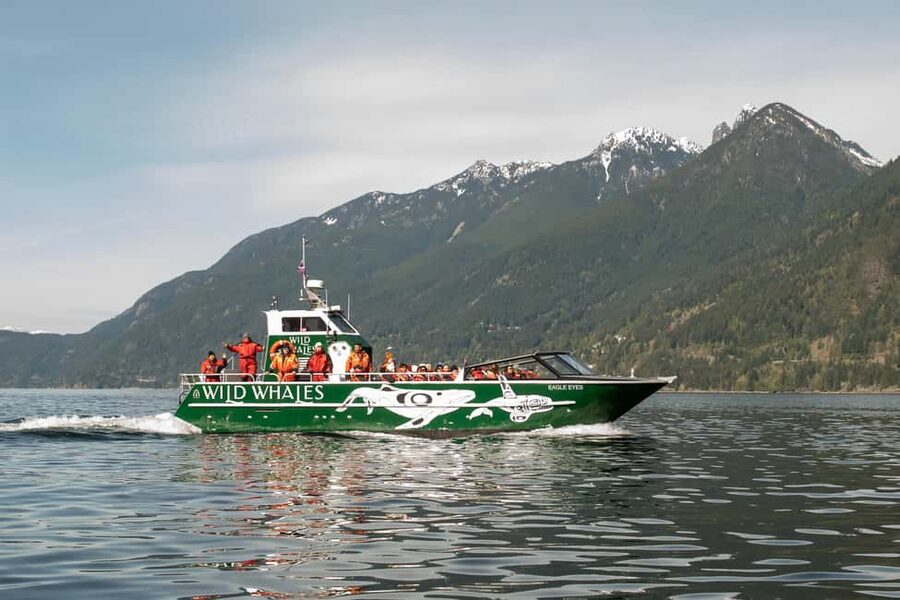 Vancouver: Open-air Whale Watching Tour, Granville Island - Eagle Eyes and the value of an open deck