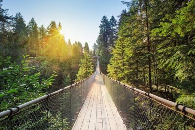 Vancouver Panorama Scenic Seaplane Tour + Suspension Bridge Tour