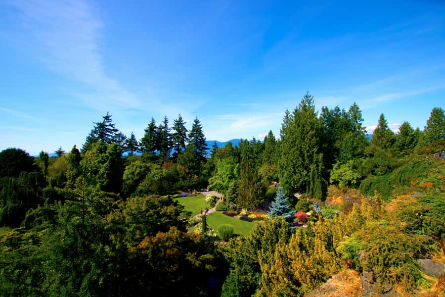 Vancouver: Private City Sights Tour by Minibus (3hrs) - What the private minibus format really changes