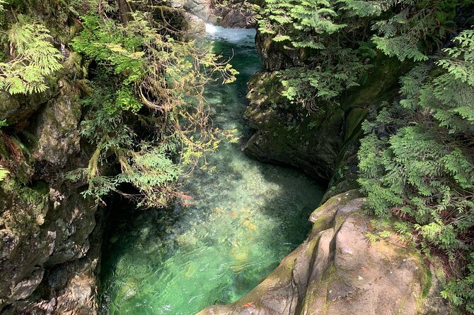Vancouver Rainforest Hike with Waterfalls, Suspension Bridge, Old Growth Forest - Natural swimming pools and creek views