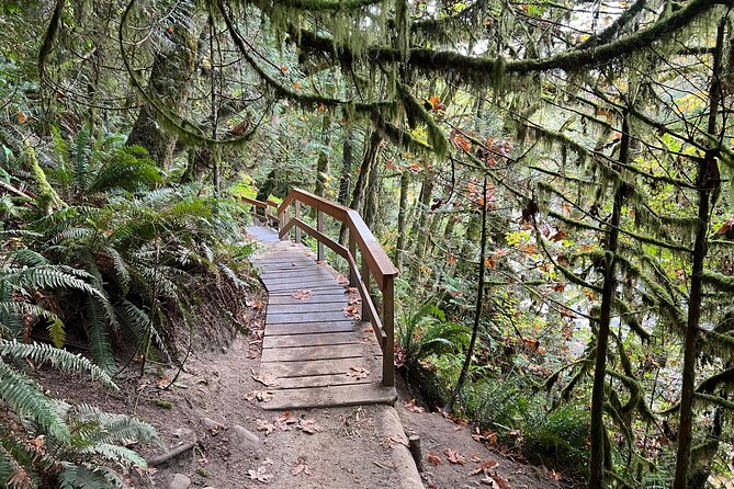 Vancouver Rainforest Hike with Waterfalls, Suspension Bridge, Old Growth Forest - Adrian’s guiding style and the small-group advantage