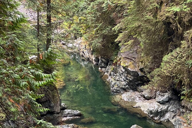 Vancouver Rainforest Hike with Waterfalls, Suspension Bridge, Old Growth Forest - Wildlife, photographs, and what you may see