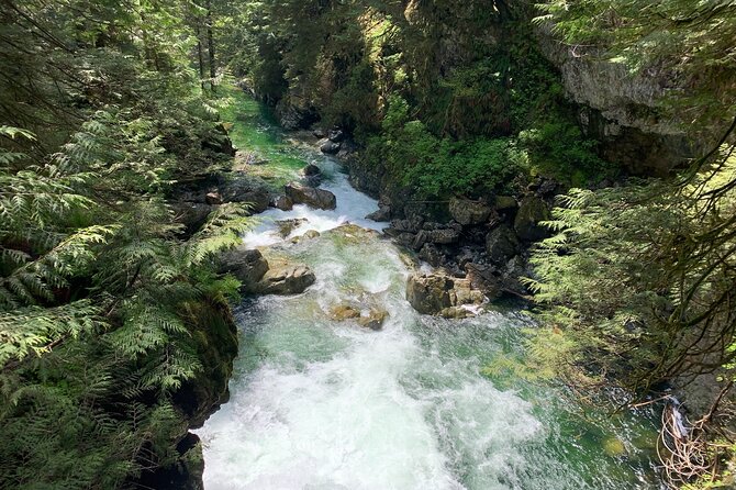 Vancouver Rainforest Hike with Waterfalls, Suspension Bridge, Old Growth Forest - Following Twin Falls through the old forest