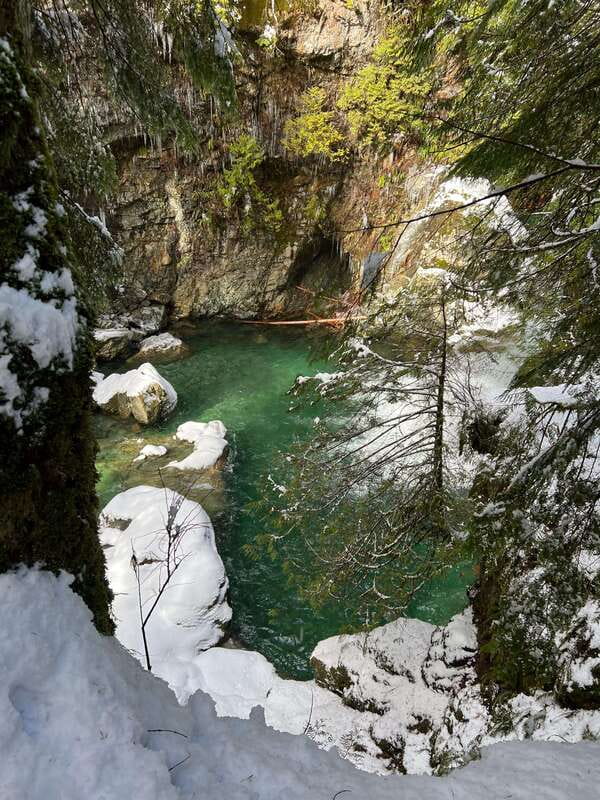Vancouver: Rainforest Waterfall Hike and Suspension Bridge - Key points to know before you book