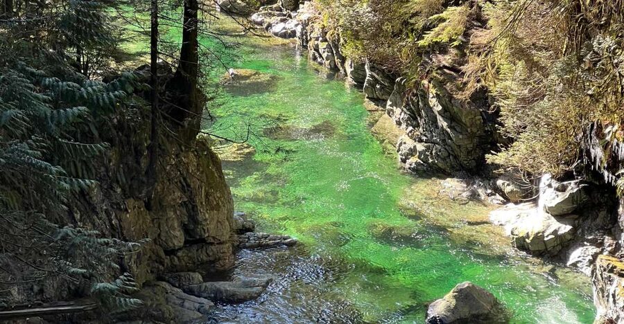 Vancouver: Rainforest Waterfall Hike and Suspension Bridge - Who should book this hike?