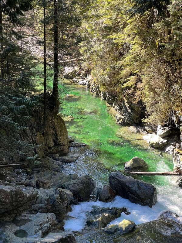 Vancouver: Rainforest Waterfall Hike and Suspension Bridge - A rainforest morning within reach of Vancouver