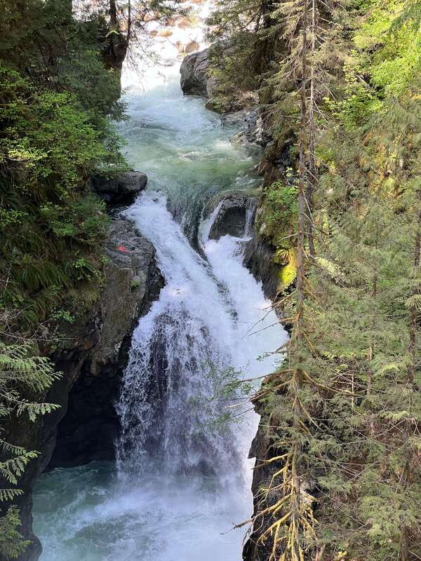 Vancouver: Rainforest Waterfall Hike and Suspension Bridge - The 9-kilometer forest route