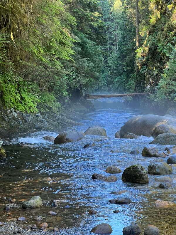 Vancouver: Rainforest Waterfall Hike and Suspension Bridge - Crossing the suspension bridge