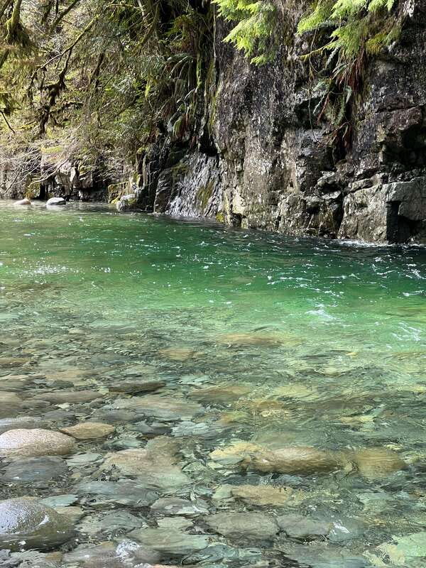 Vancouver: Rainforest Waterfall Hike and Suspension Bridge - Hotel pickup takes the guesswork out