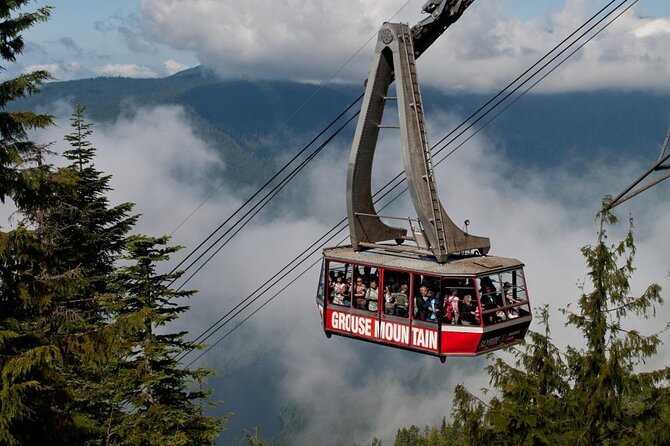 Vancouver's Finest Private Sightseeing Tour - A private route from downtown to the North Shore