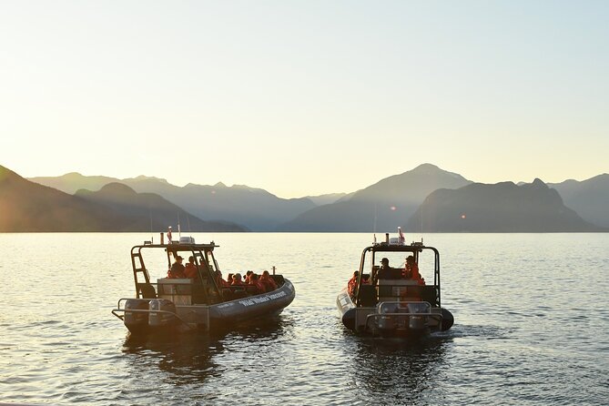 Vancouver's Intimate West Coast Whale Watching Experience - The Guides Make the Search More Interesting