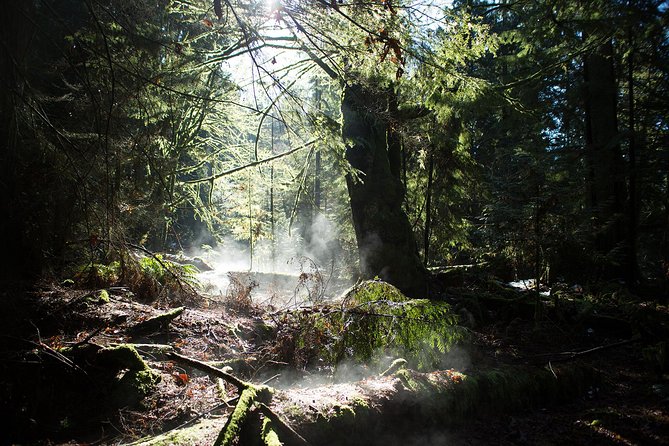 Vancouver Secrets of Stanley Park Walking Tour - Who will enjoy this Stanley Park walk most?