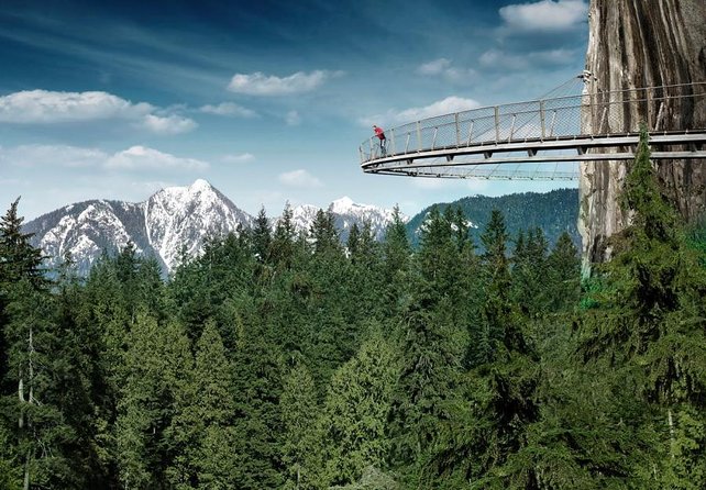 Vancouver Sightseeing and Suspension Bridge Small Group Tour - Why this half-day tour works