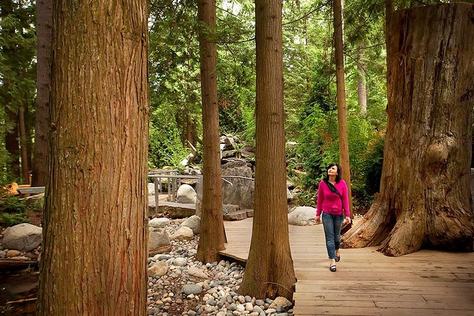 Vancouver Sightseeing and Suspension Bridge Small Group Tour - Chinatown and Gastown in quick succession