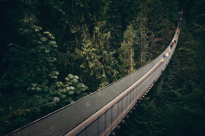 Vancouver Small Group Night Tour w/Capilano + Grouse Mtn Dinner - Stanley Park from the road