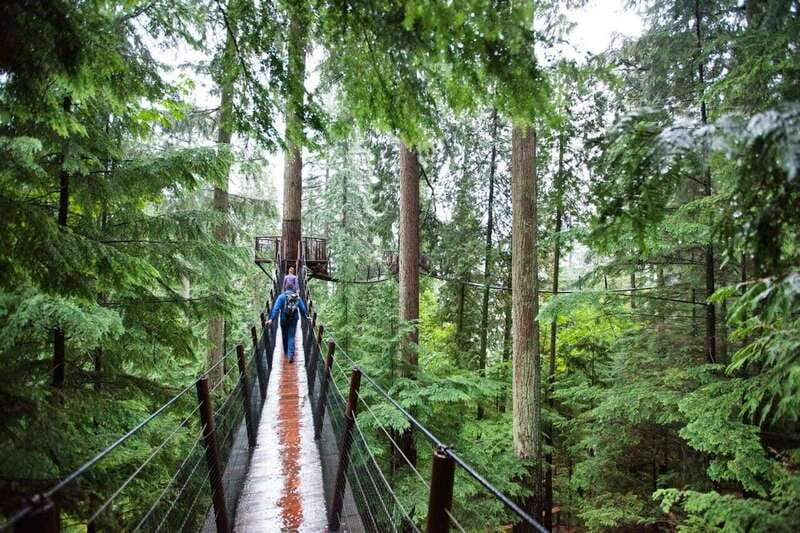 Vancouver: Small Group Tour w/Capilano & Grouse Mtn Lunch - A compact Vancouver introduction with big views