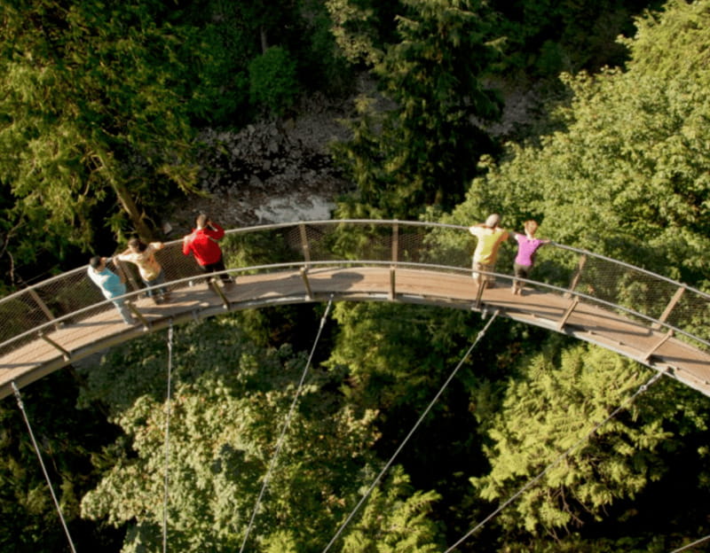 Vancouver: Small Group Tour w/Capilano & Grouse Mtn Lunch - Vancouver Lookout at 553 feet