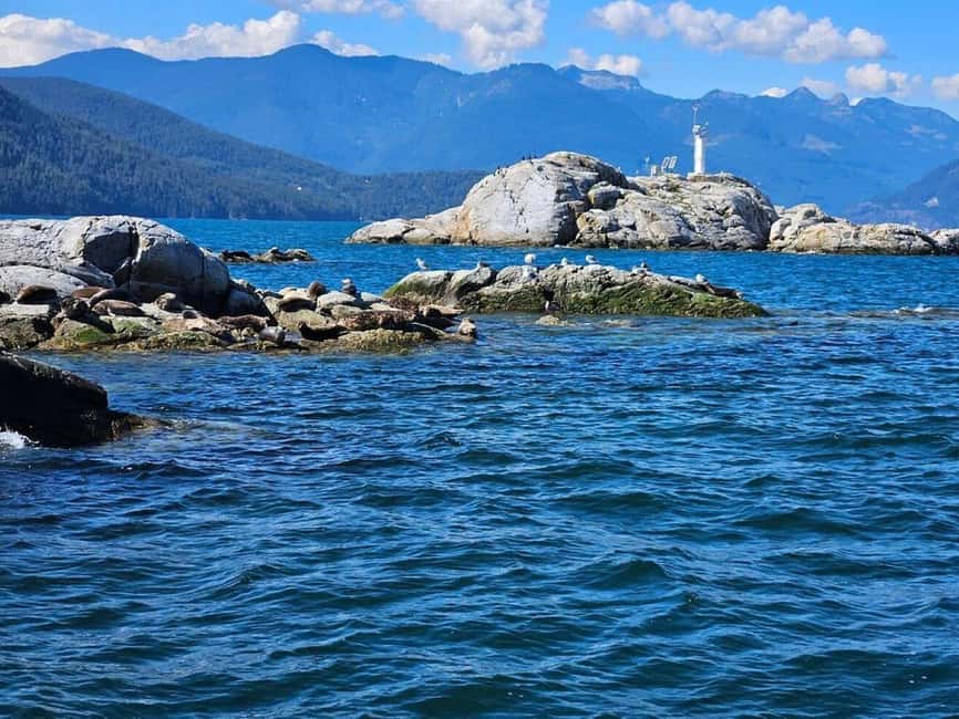 Vancouver: Snorkel, Kayak, and Seal Adventure Boat Tour - Key points to know before booking
