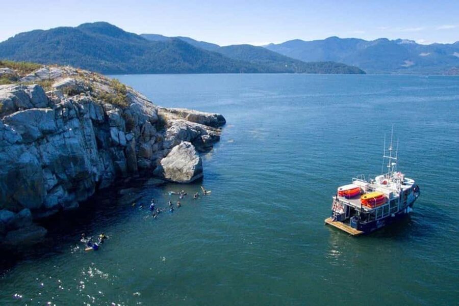 Vancouver: Snorkel, Kayak, and Seal Adventure Boat Tour - Practical tips for a smoother outing