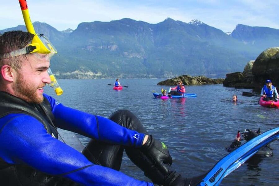 Vancouver: Snorkel, Kayak, and Seal Adventure Boat Tour - Meeting the harbor seals at Pam Rocks