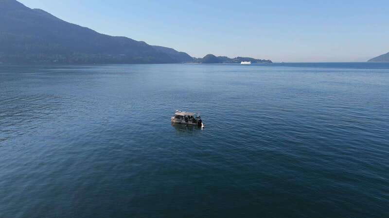 Vancouver: Snorkeling Seals Kayaking Scenic Boat Tour - Who should book this outing?