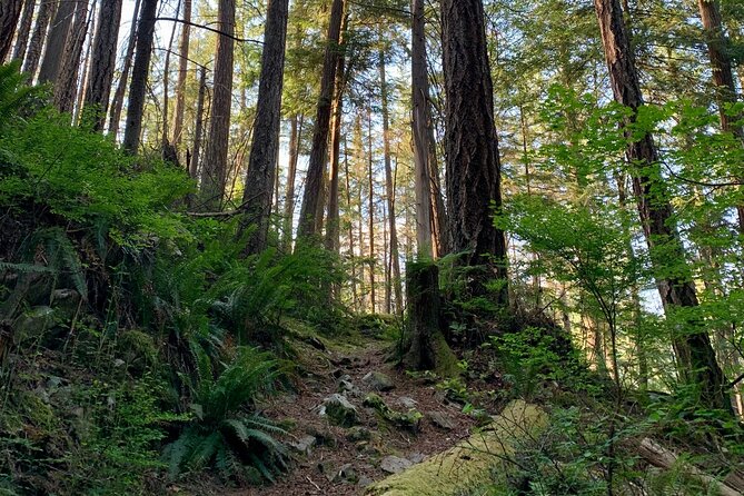Vancouver Stanley Park 3 Hour Bike Tour - How much history and guiding should you expect?