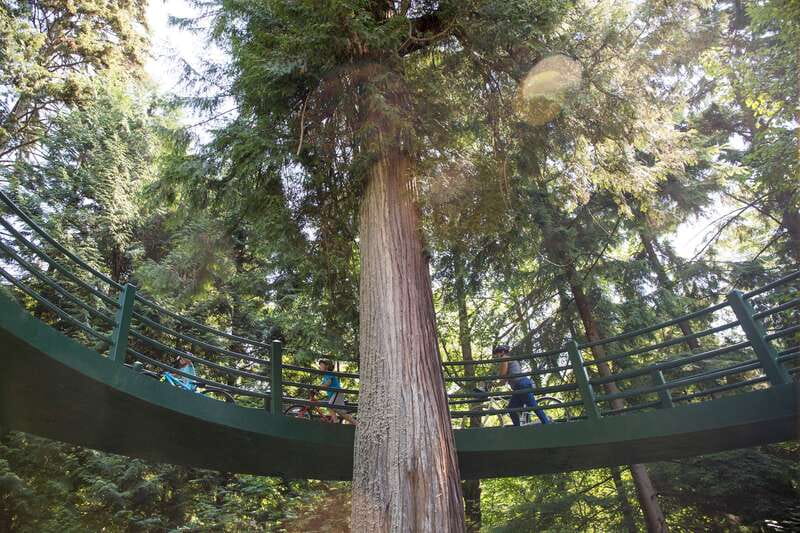 Vancouver: Stanley Park Bicycle Tour - Why this three-hour ride works so well