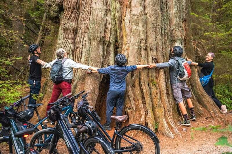 Vancouver: Stanley Park Bicycle Tour - What the guides add to the ride