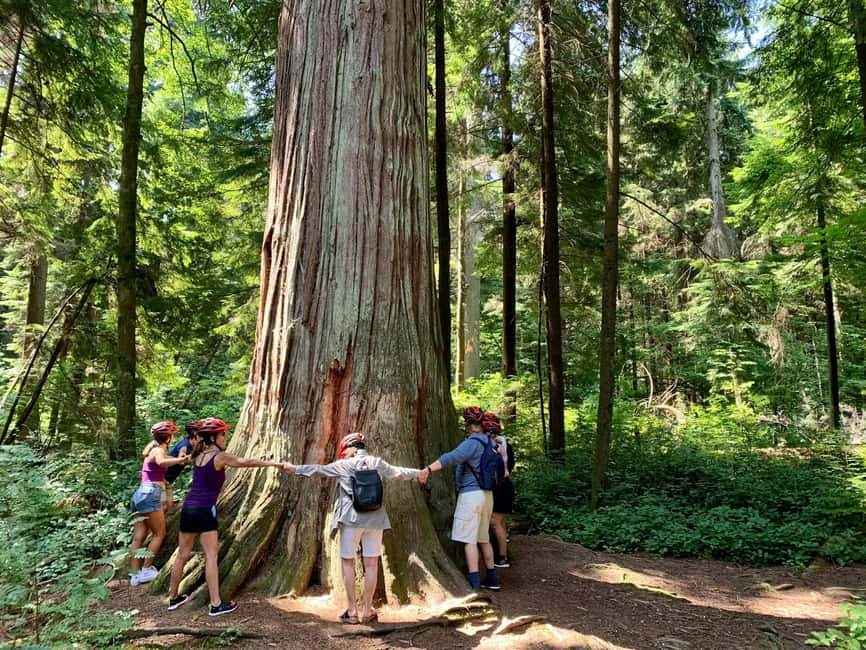 Vancouver: Stanley Park Bike Tour | E-Bike Upgrade Avail. - Key points to know before you ride