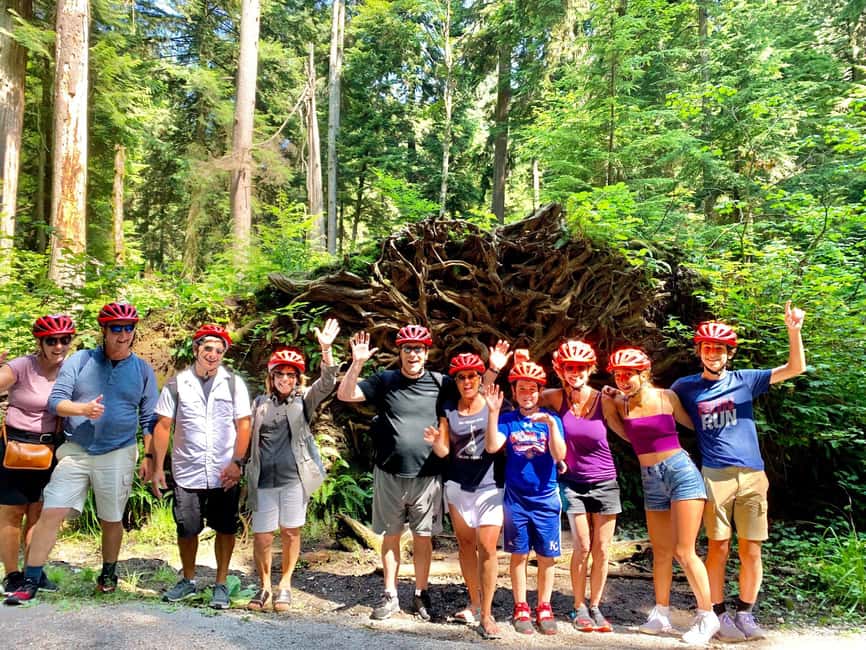 Vancouver: Stanley Park Bike Tour | E-Bike Upgrade Avail. - Weather, clothing, and riding comfort