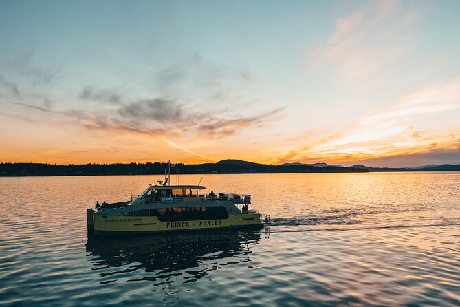 Vancouver Sunset Whale Watching Adventure with Free Photos - Leaving Granville Island for the Salish Sea