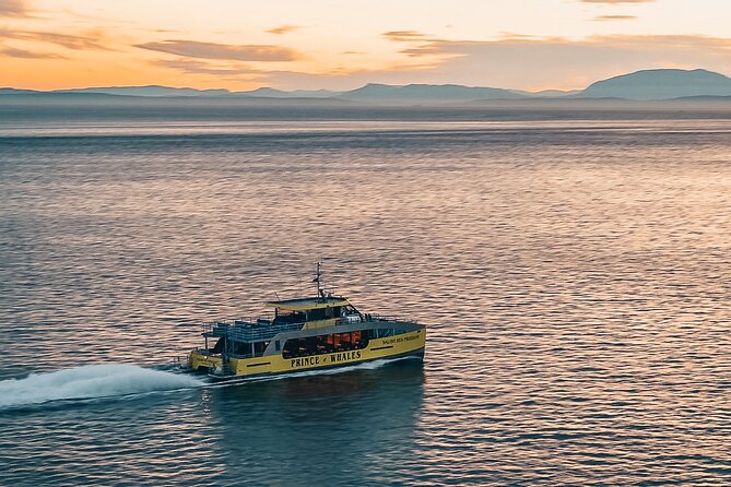 Vancouver Sunset Whale Watching Adventure with Free Photos - Finding orcas and humpback whales