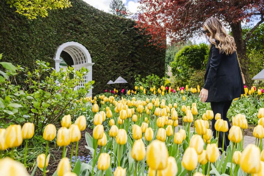 Vancouver to Victoria Seaplane Day Trip + Butchart Gardens - Seeing the Sunken Garden and Rose Garden