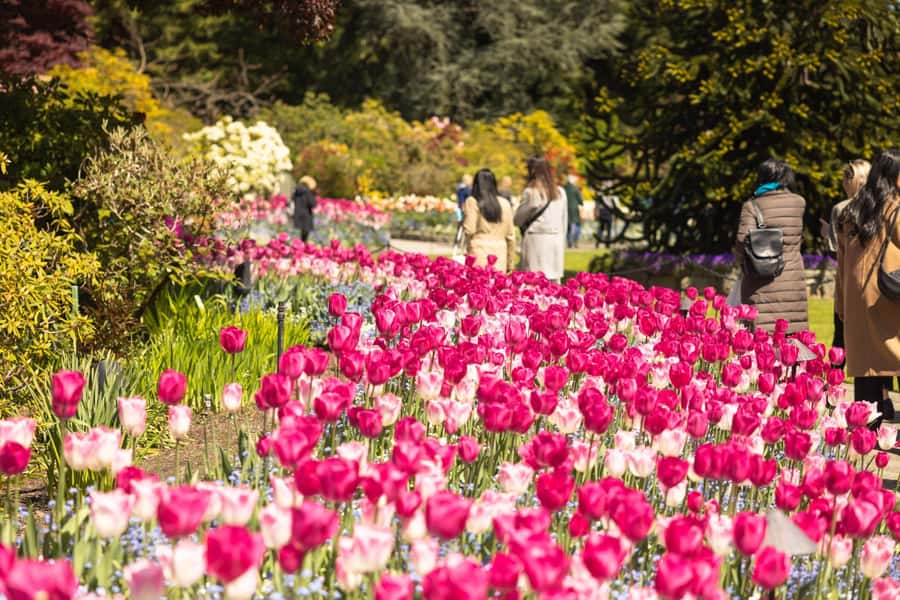Vancouver to Victoria Seaplane Day Trip + Butchart Gardens - Returning to Vancouver by float plane
