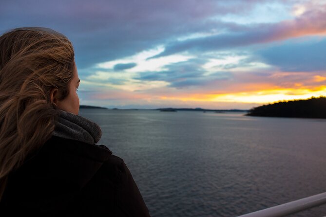 Vancouver to Victoria - Vancouver Cruise Terminal Pickup - Coach Bus Transfer - A coach ride built for cruise luggage