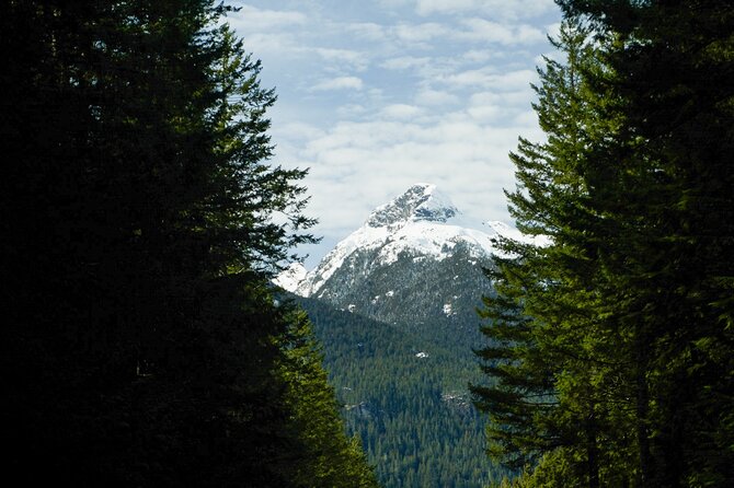 Vancouver to Whistler Private Self Guided Audio Tour - Shannon Falls in a short 20-minute stop