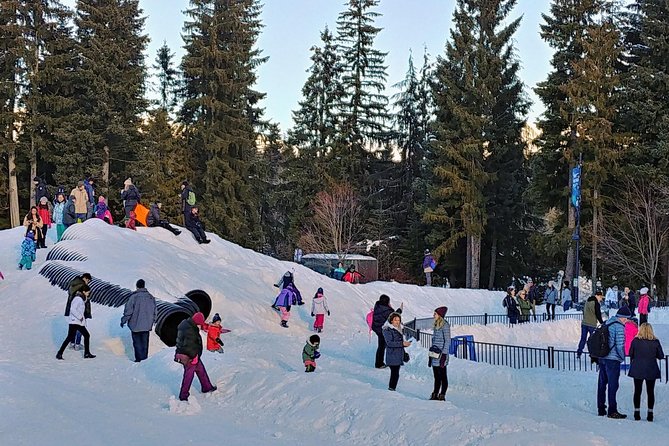 Vancouver to Whistler Private Tour - Brandywine Falls and volcanic rock