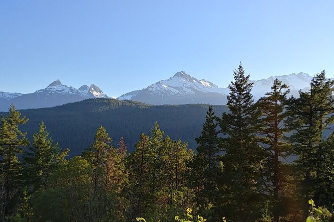 Vancouver to Whistler Private Tour - Price, group size, and overall value
