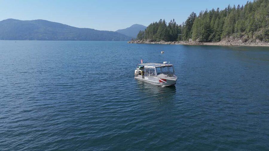 Vancouver UNESCO Biosphere Reserve Wildlife Scenic Boat Tour - Leaving Horseshoe Bay for Howe Sound