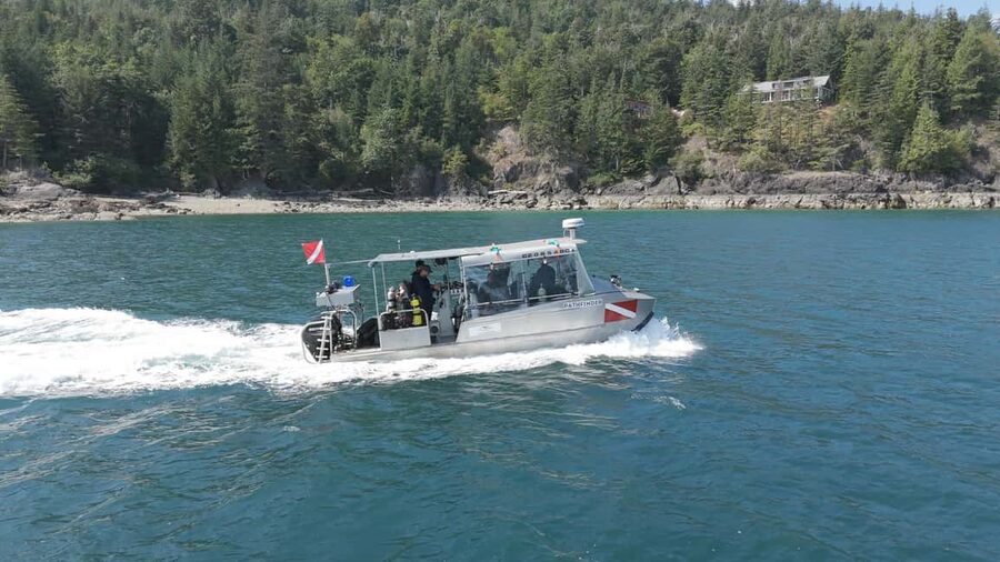 Vancouver UNESCO Biosphere Reserve Wildlife Scenic Boat Tour - Wildlife sightings are possible, not promised