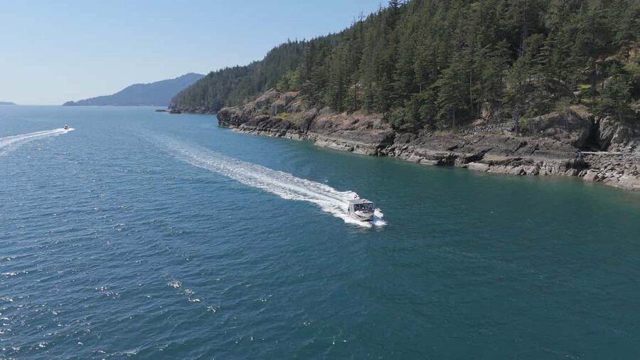 Vancouver UNESCO Biosphere Reserve Wildlife Scenic Boat Tour - Who will get the most from this cruise