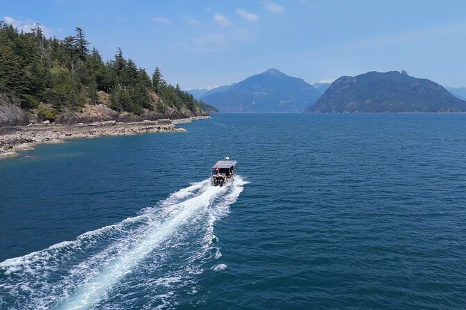 Vancouver UNESCO Biosphere Reserve Wildlife Scenic Boat Tour - Is $89.62 a fair price?