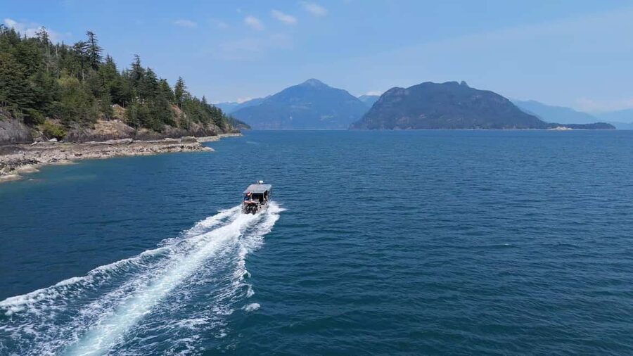 Vancouver UNESCO Biosphere Reserve Wildlife Scenic Boat Tour - What the two-hour route is like