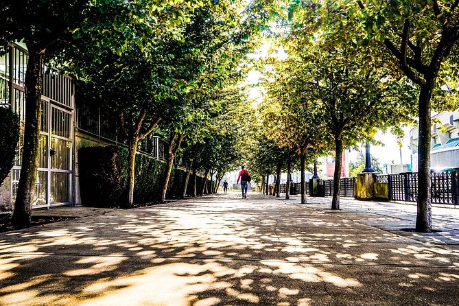 Vancouver Walking Tour: Explore Top Sights & Hidden Gems - Key points to know before you book
